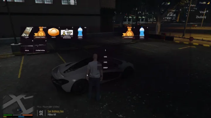 ESX Inventory HUD Script Interface for Item and Money Management in FiveM