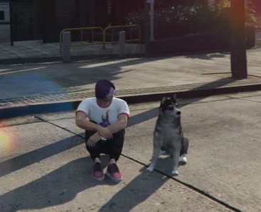 FiveM screenshot of ESX Pet Script showing a player sitting beside a husky dog companion on the street.