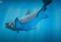 GTA V RP ESX Shark Bait Script featuring a shark attacking underwater.