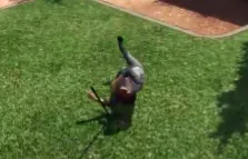 Player tripping over rake animation in ESX FiveM script