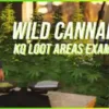 FiveM ESX Wild Cannabis Script with natural plant harvesting for drug roleplay
