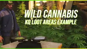 FiveM ESX Wild Cannabis Script with natural plant harvesting for drug roleplay