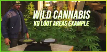 FiveM ESX Wild Cannabis Script with natural plant harvesting for drug roleplay