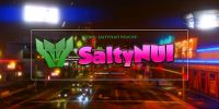 SaltyNUI ESX Script – Stylish UI enhancement for FiveM roleplay servers