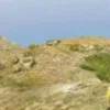 QBCore cutscene spawner in FiveM for cinematic roleplay experiences.