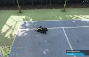 Qbcore Ragdoll Script – Realistic Falling and Impact Physics for FiveM RP