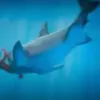 Qbcore Shark Bait System – Realistic Ocean Survival and Shark AI for FiveM RP
