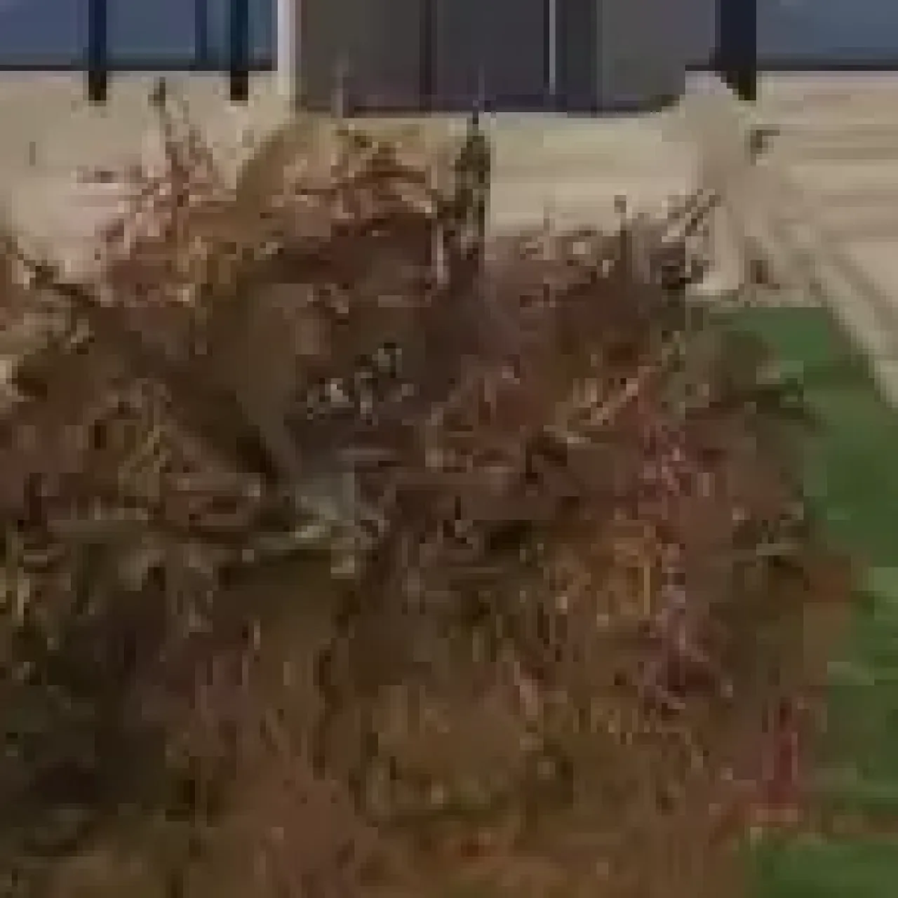 QBCore Bush Wear - FiveM Disguise System for Stealth Roleplay